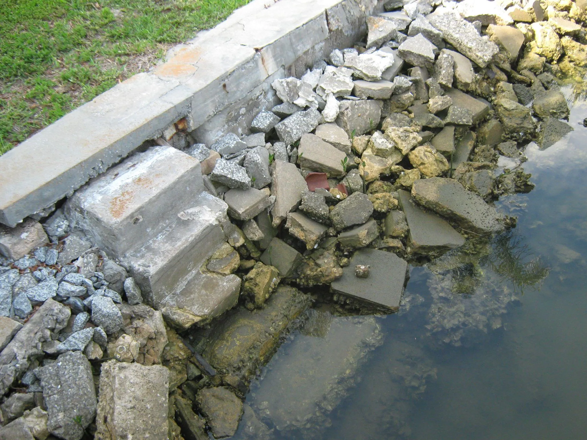 seawall-repair-winter-park-fl-04