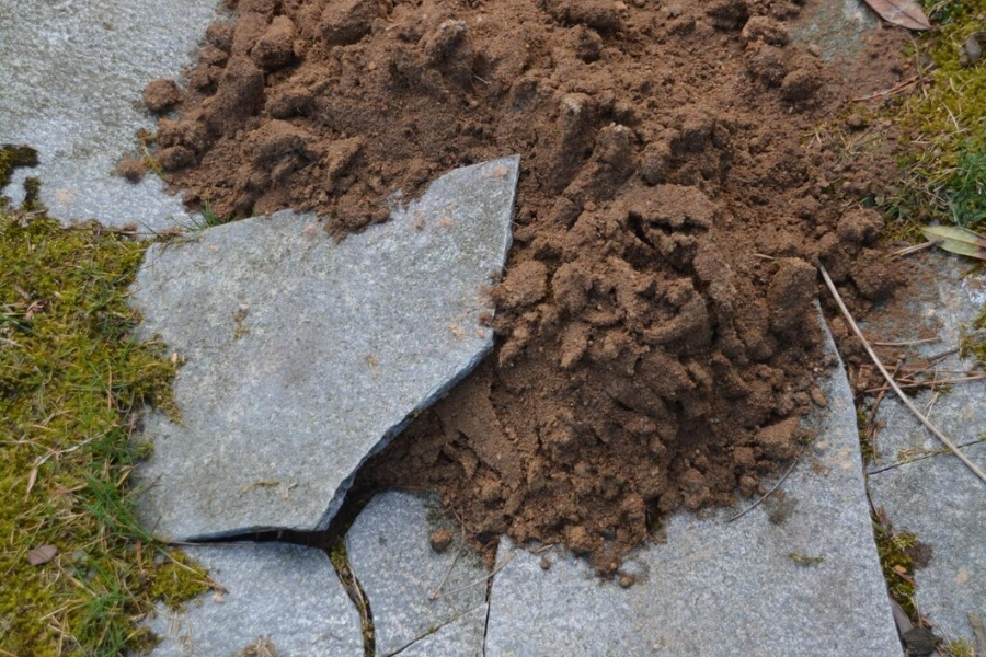 soil-stabilization-winter-park-fl-06